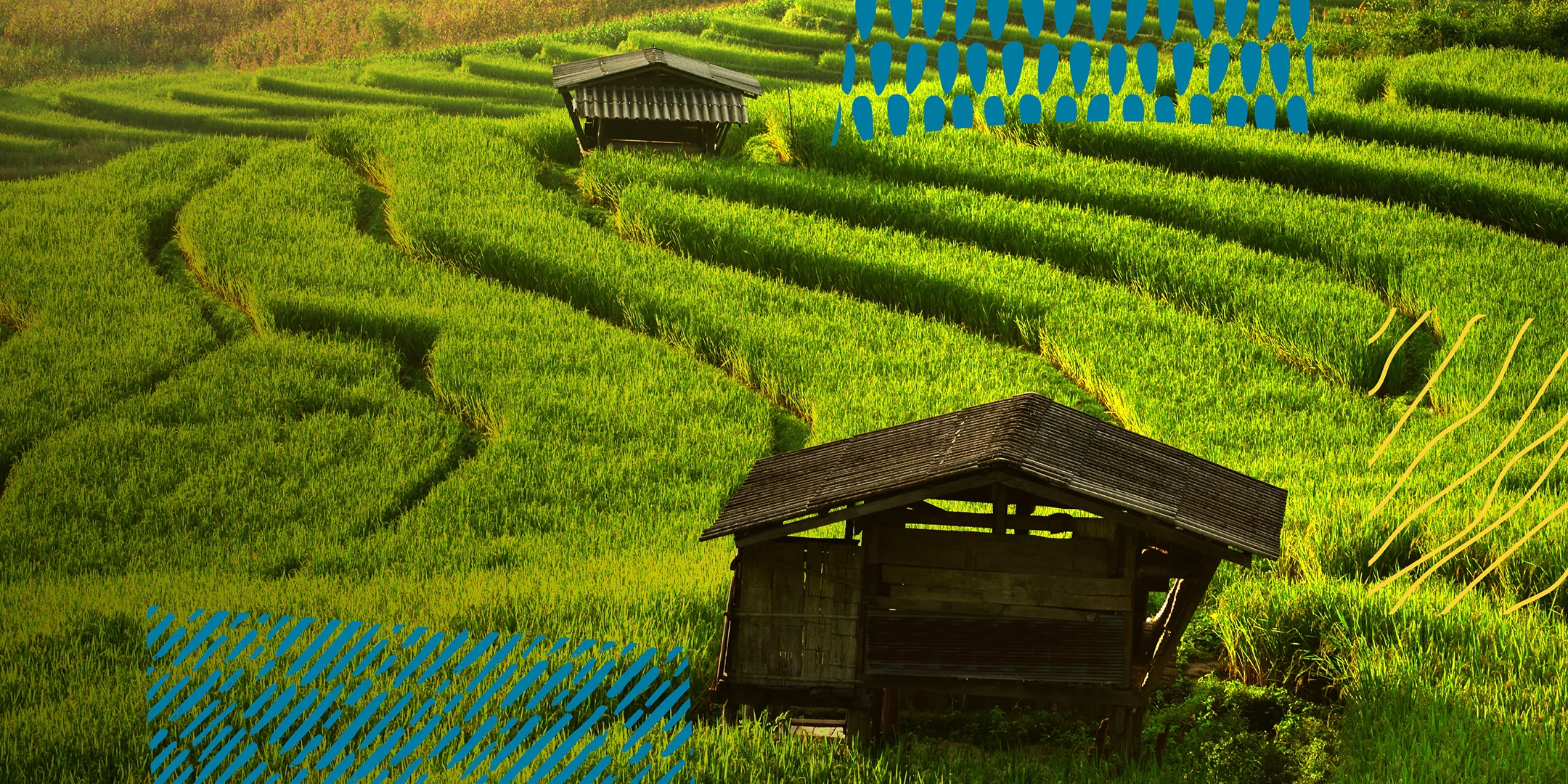 QUANTA PAZIENZA CHE CI VUOLE.